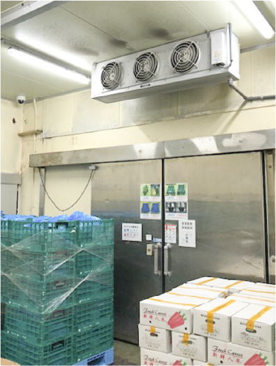 冷蔵庫には学校給食用の野菜なども並んでいます。