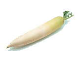 カット野菜「ダイコン」のイメージ写真